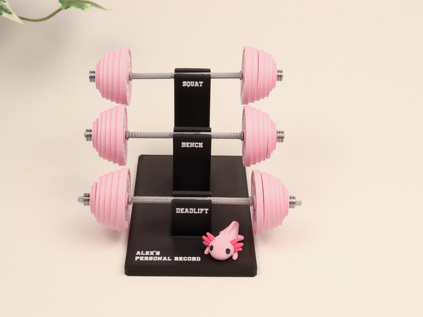 Personal Record Tracker Desk Stand | Fitness Progress Organizer | Workout Log Display for Gym Enthusiasts