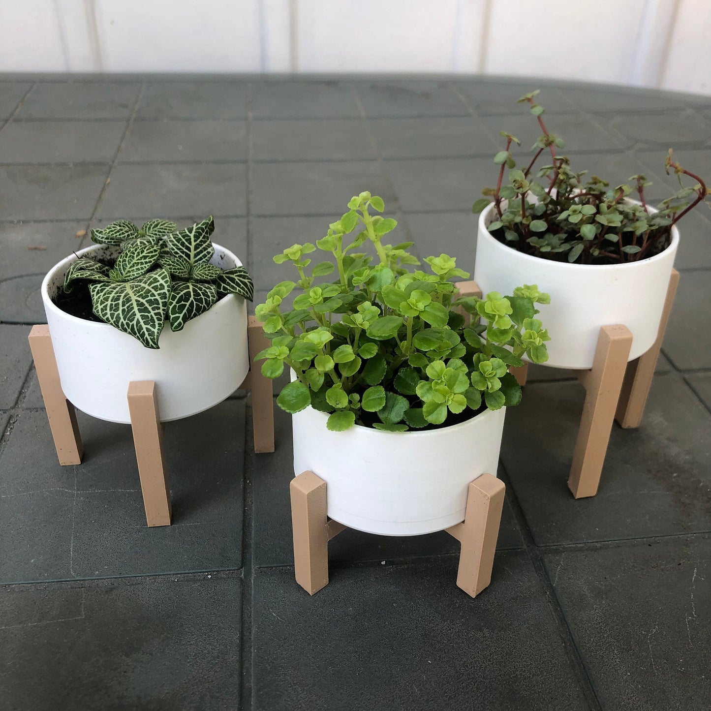 Minimalist Raised Planter Set of 3
