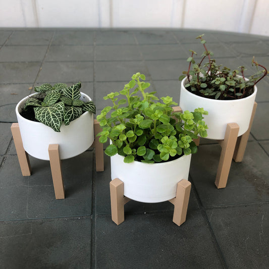 Minimalist Raised Planter Set of 3