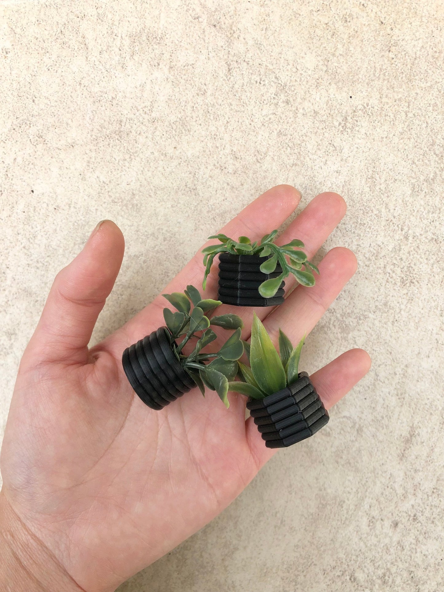 Mini Succulent Fridge Magnet