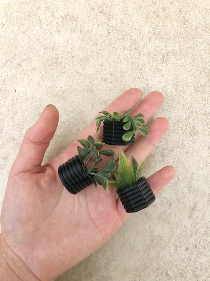Mini Succulent Fridge Magnet