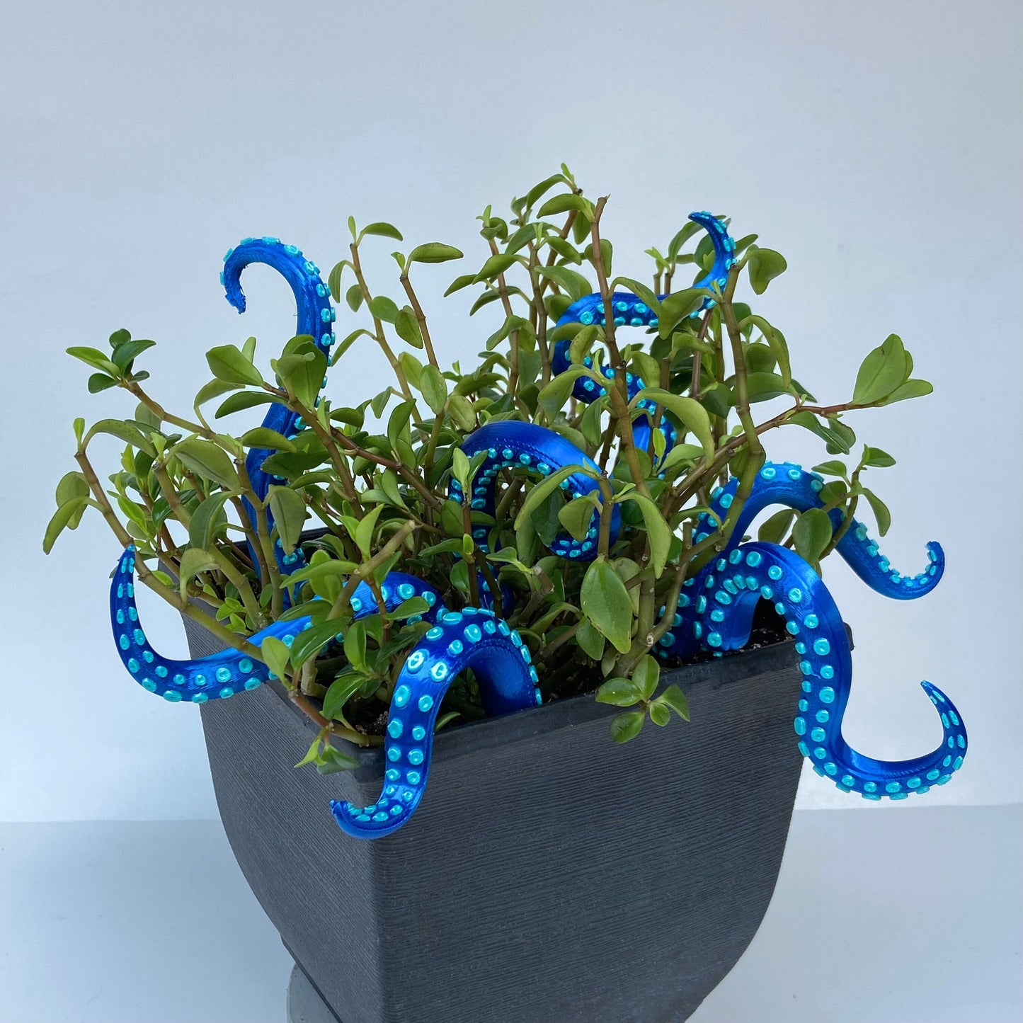 House Plant Accessories Decor - Set of 8 Sea monster Tentacles