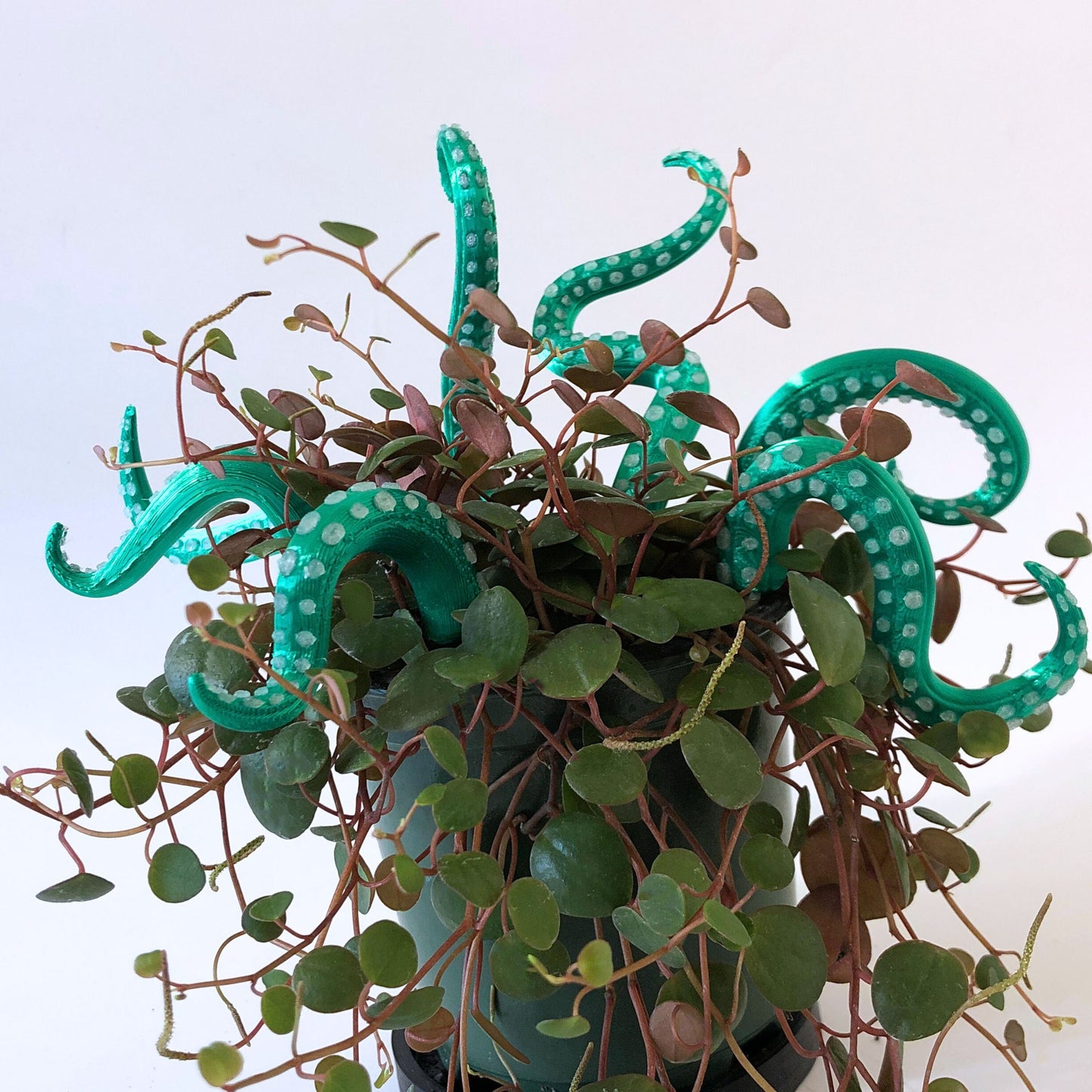 House Plant Accessories Decor - Set of 8 Sea monster Tentacles