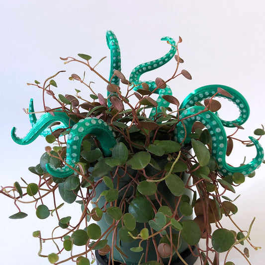 House Plant Accessories Decor - Set of 8 Sea monster Tentacles