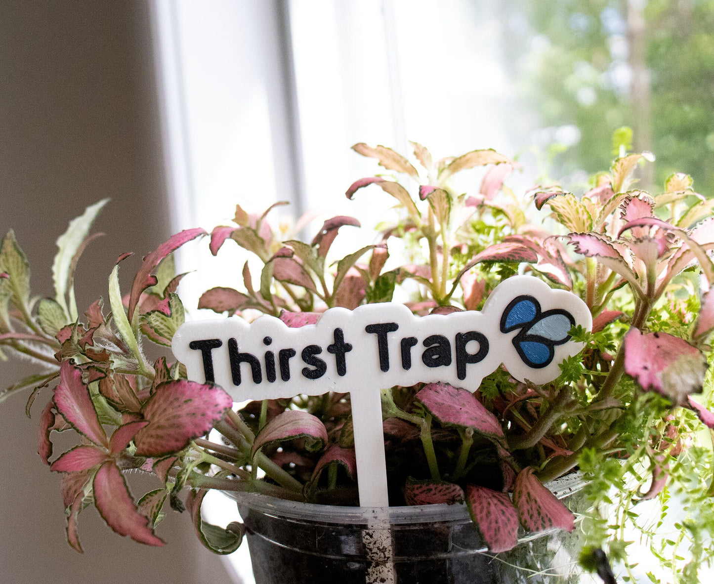 Punny Plant Stake