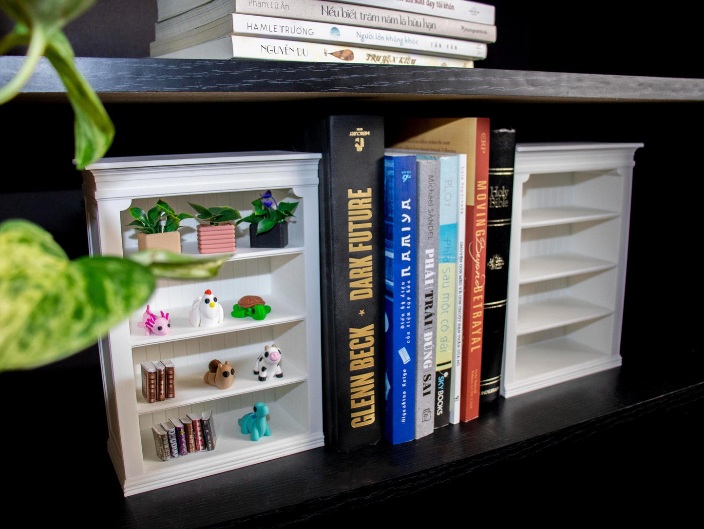 Mini Bookshelf Bookend