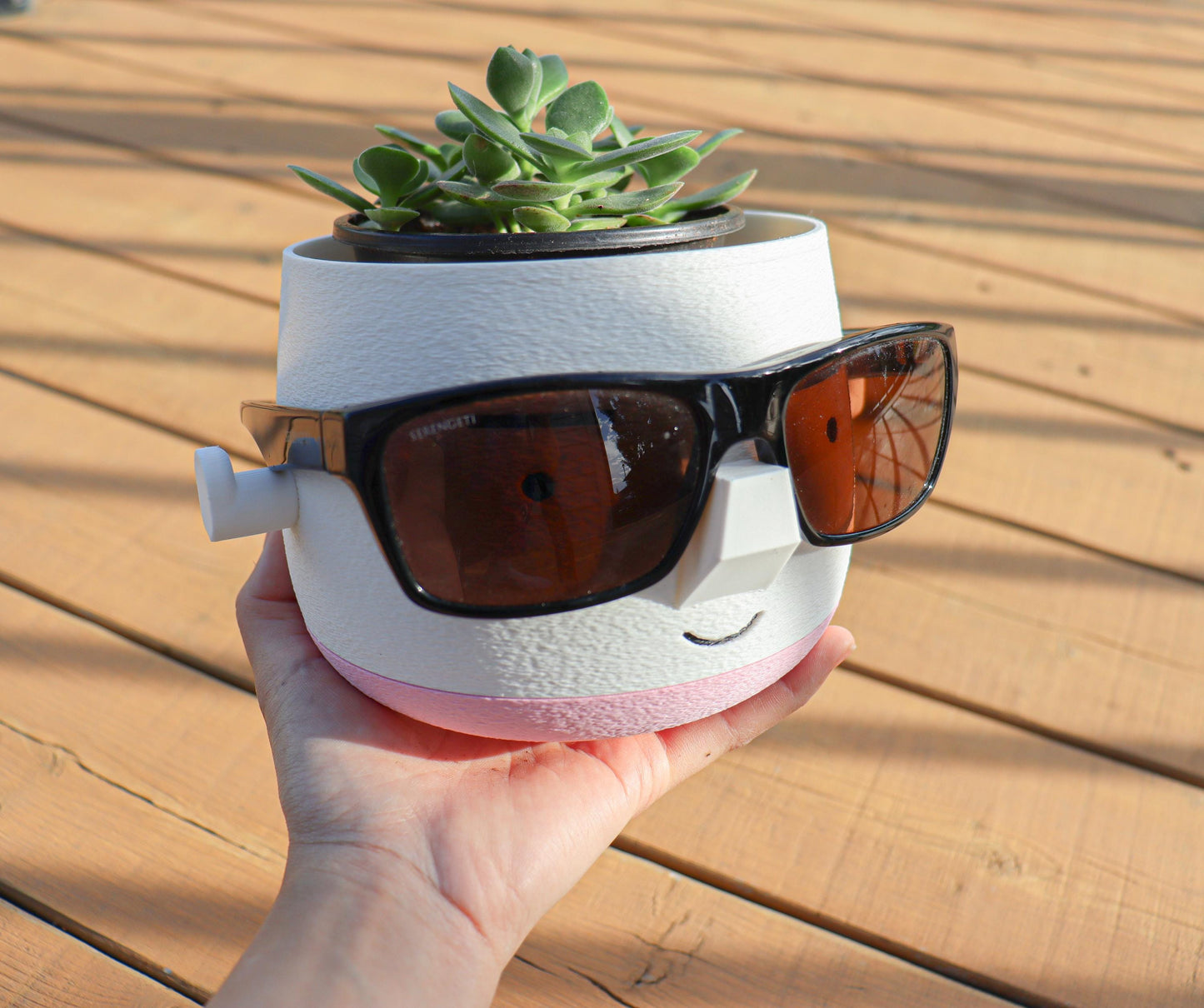 Mr. Square Brow Indoor Planter