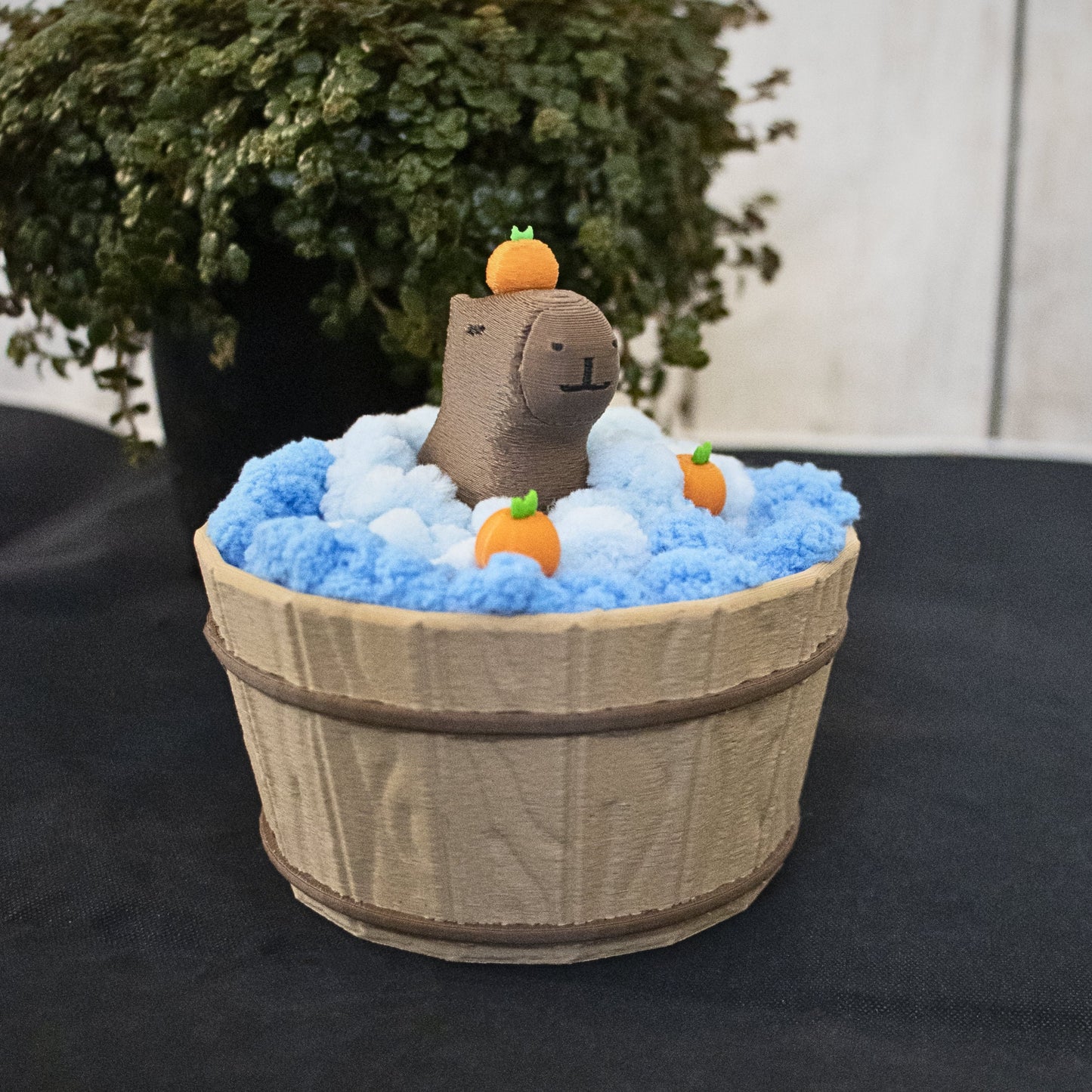 Capybara In Tub Coaster Set