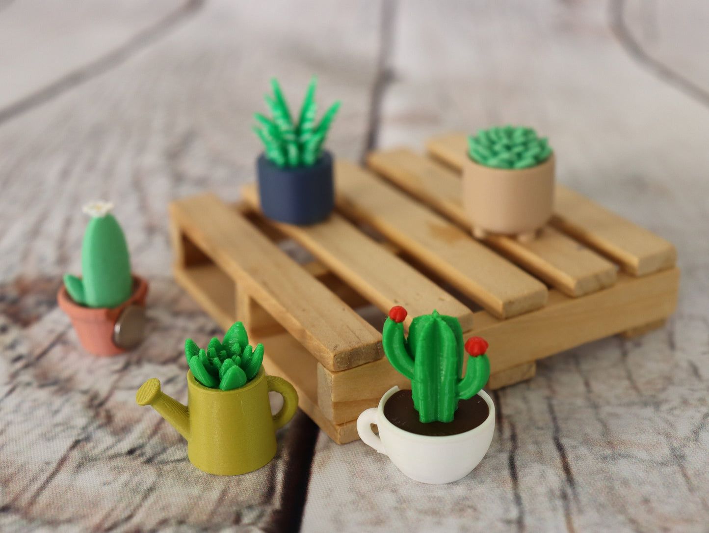Set of 5 Planter with Succulent Magnet