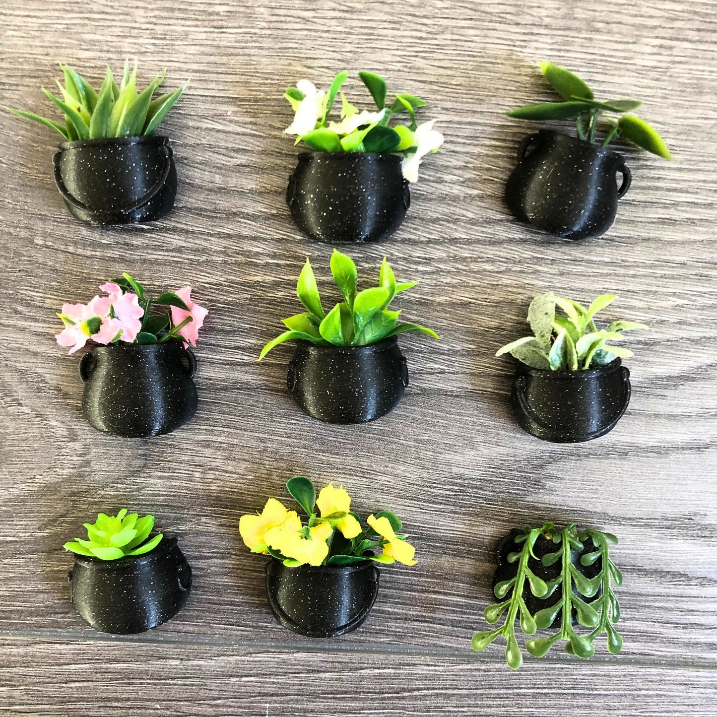 Mini Succulent Cauldron Fridge Magnet
