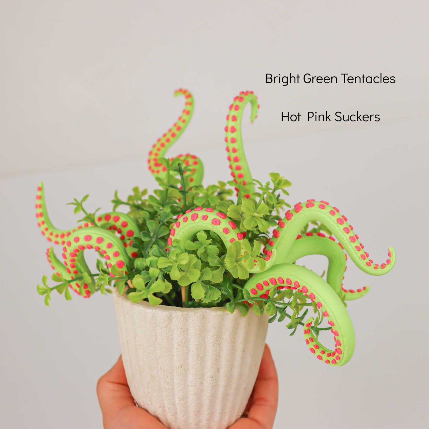 House Plant Accessories Decor - Set of 8 Sea monster Tentacles