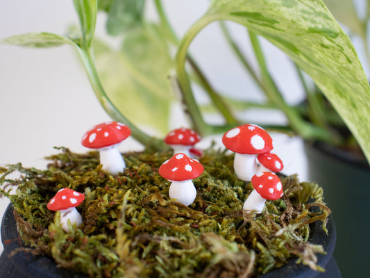 Red Mushroom Plant Stake