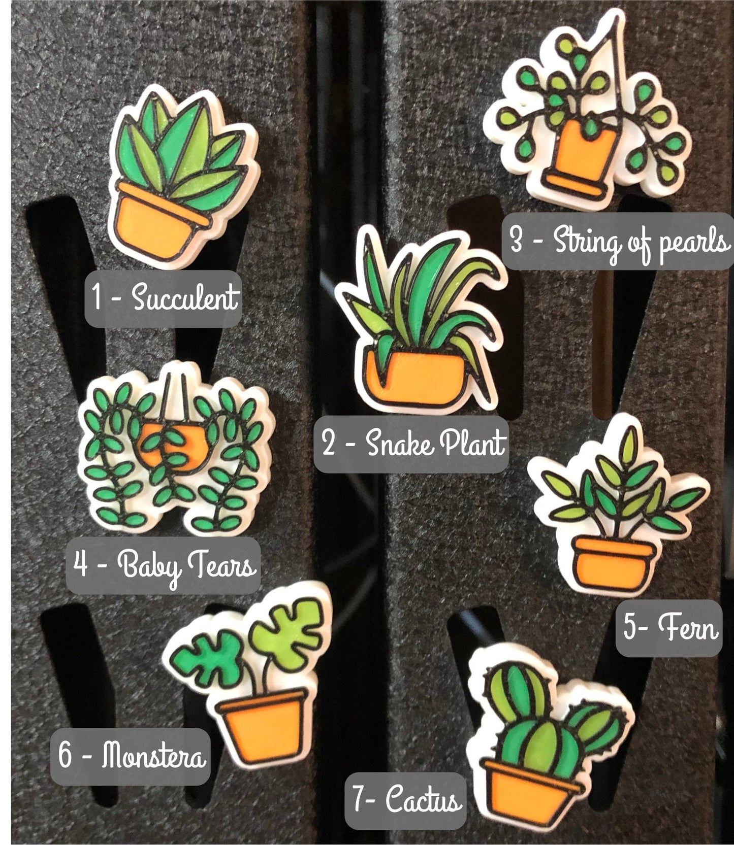 House Plant Fridge Magnet Set