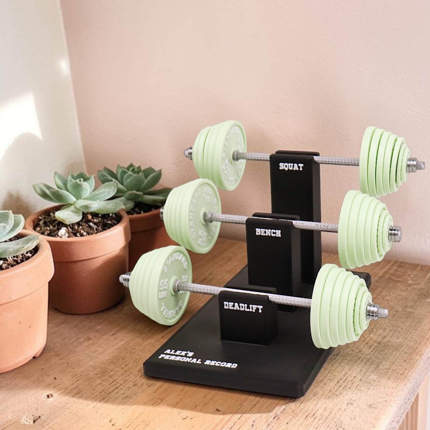 Personal Record Tracker Desk Stand | Fitness Progress Organizer | Workout Log Display for Gym Enthusiasts
