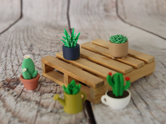 Set of 5 Planter with Succulent Magnet