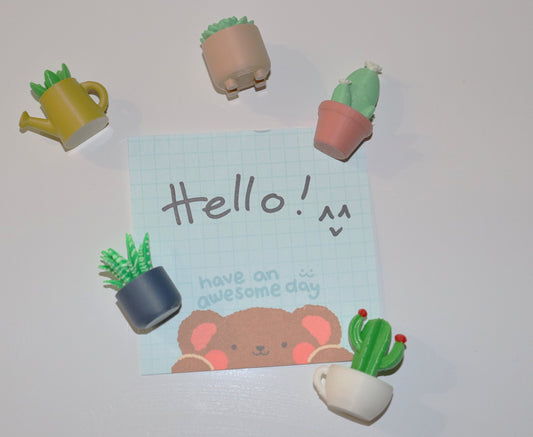 Set of 5 Planter with Succulent Magnet
