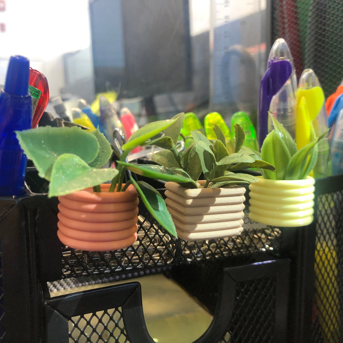Mini Succulent Fridge Magnet