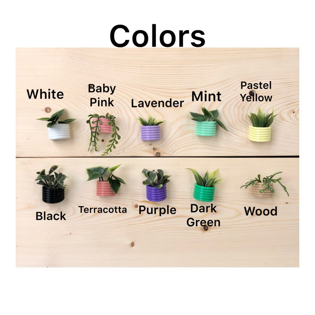 Mini Succulent Fridge Magnet