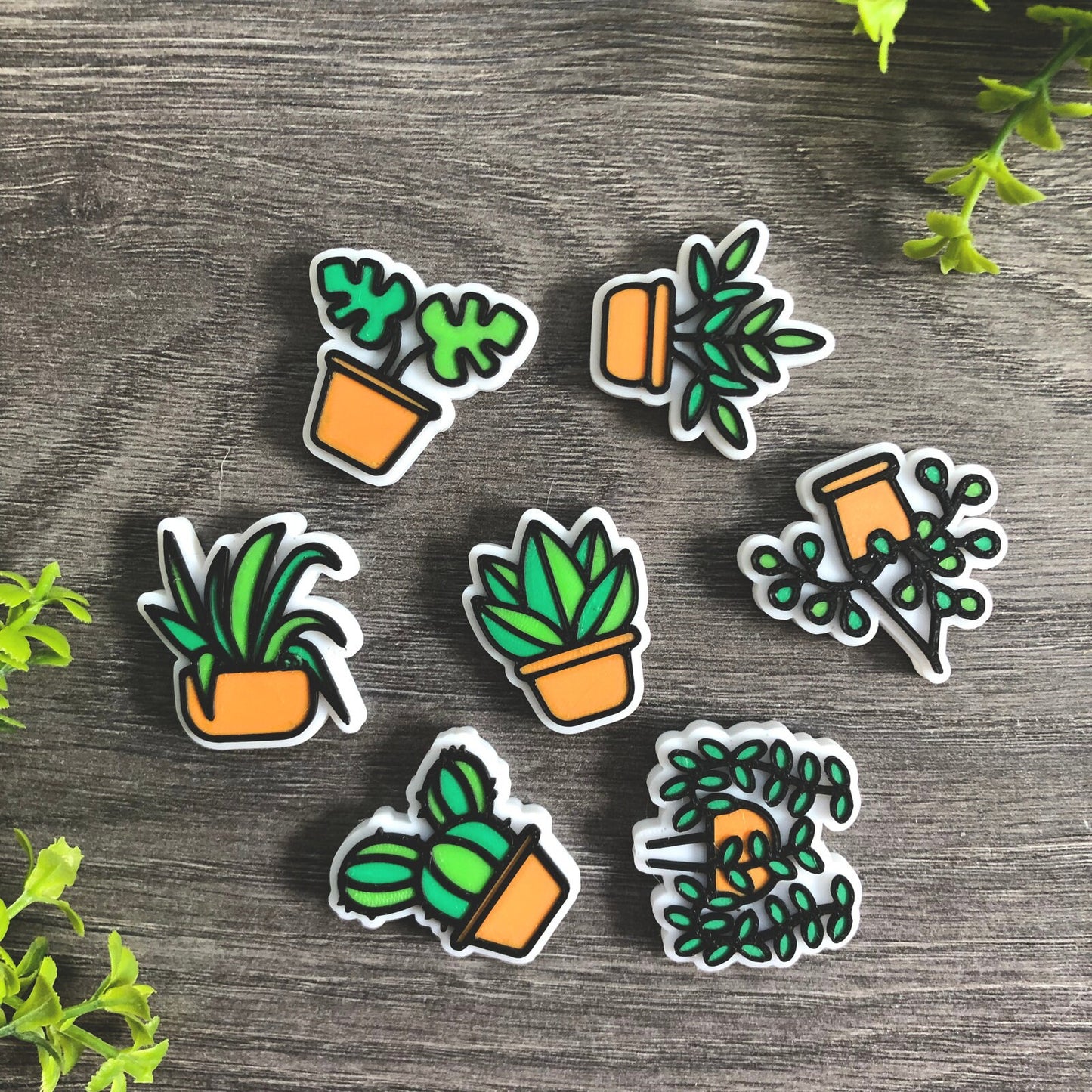 House Plant Fridge Magnet Set