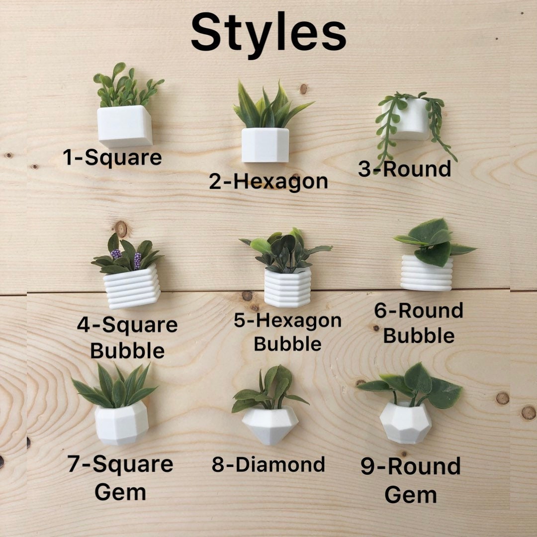 Mini Succulent Fridge Magnet