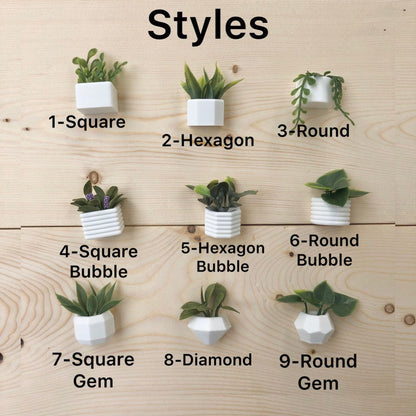 Mini Succulent Fridge Magnet
