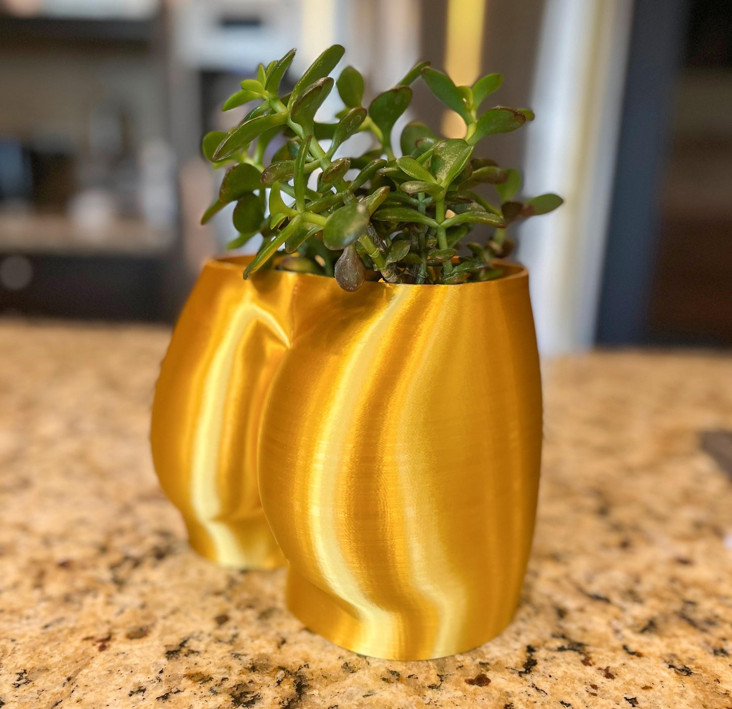 Bottom Planter