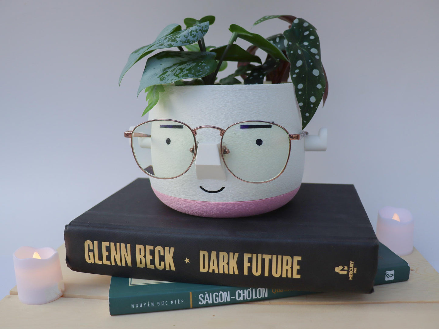 Mr. Square Brow Indoor Planter