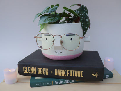 Mr. Square Brow Indoor Planter