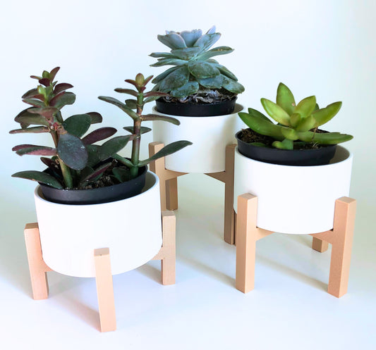 Minimalist Raised Planter Set of 3