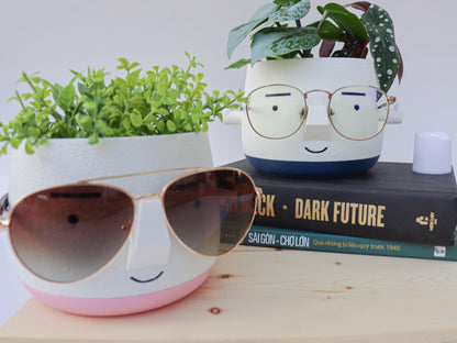 Mr. Square Brow Indoor Planter