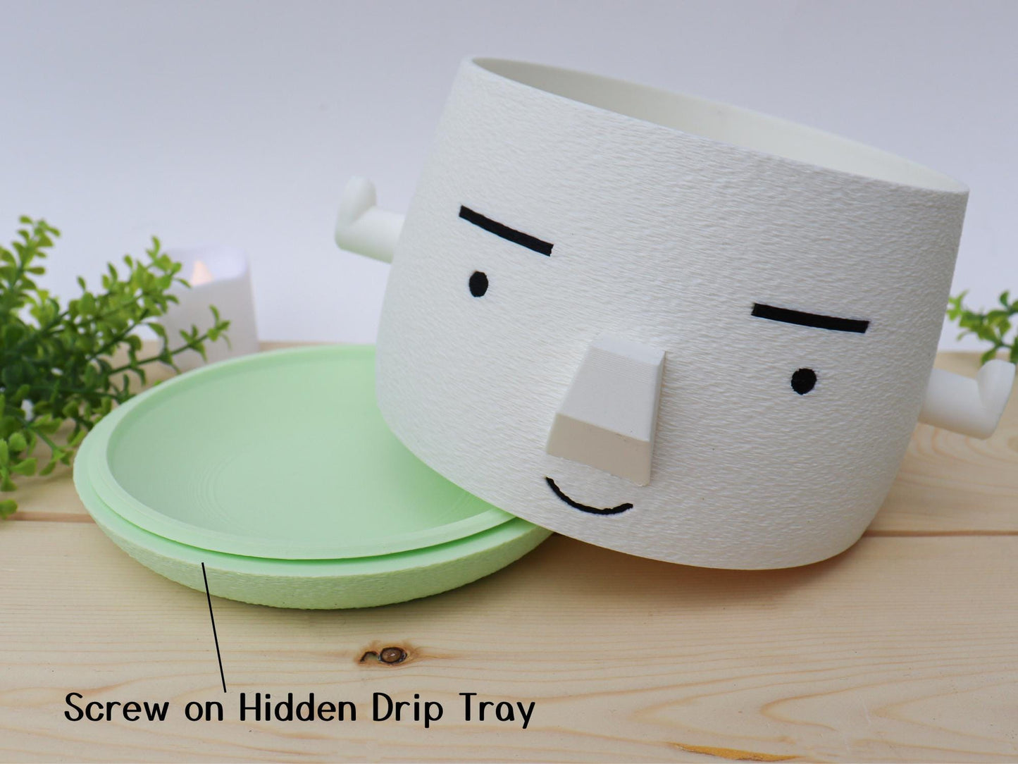 Mr. Square Brow Indoor Planter