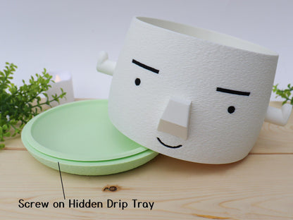 Mr. Square Brow Indoor Planter