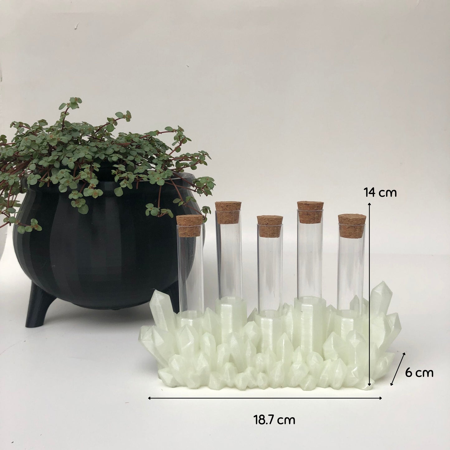 Crystal Propagation Station