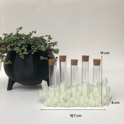 Crystal Propagation Station