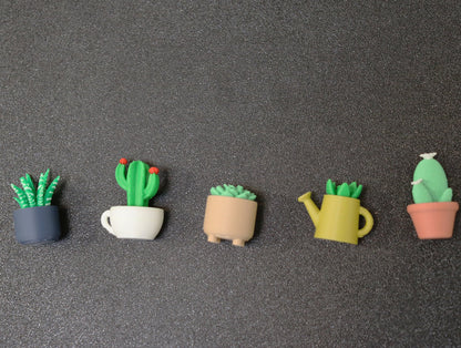 Set of 5 Planter with Succulent Magnet