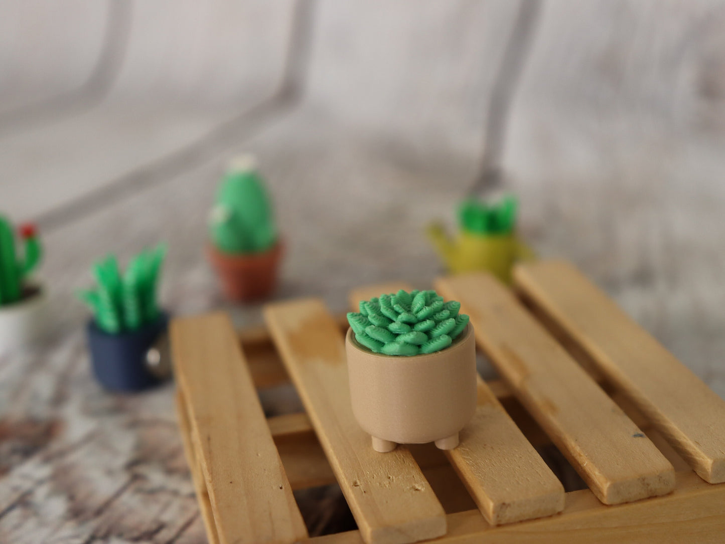 Set of 5 Planter with Succulent Magnet
