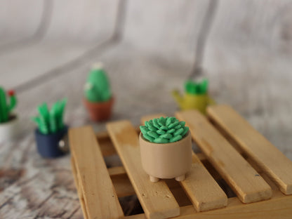 Set of 5 Planter with Succulent Magnet