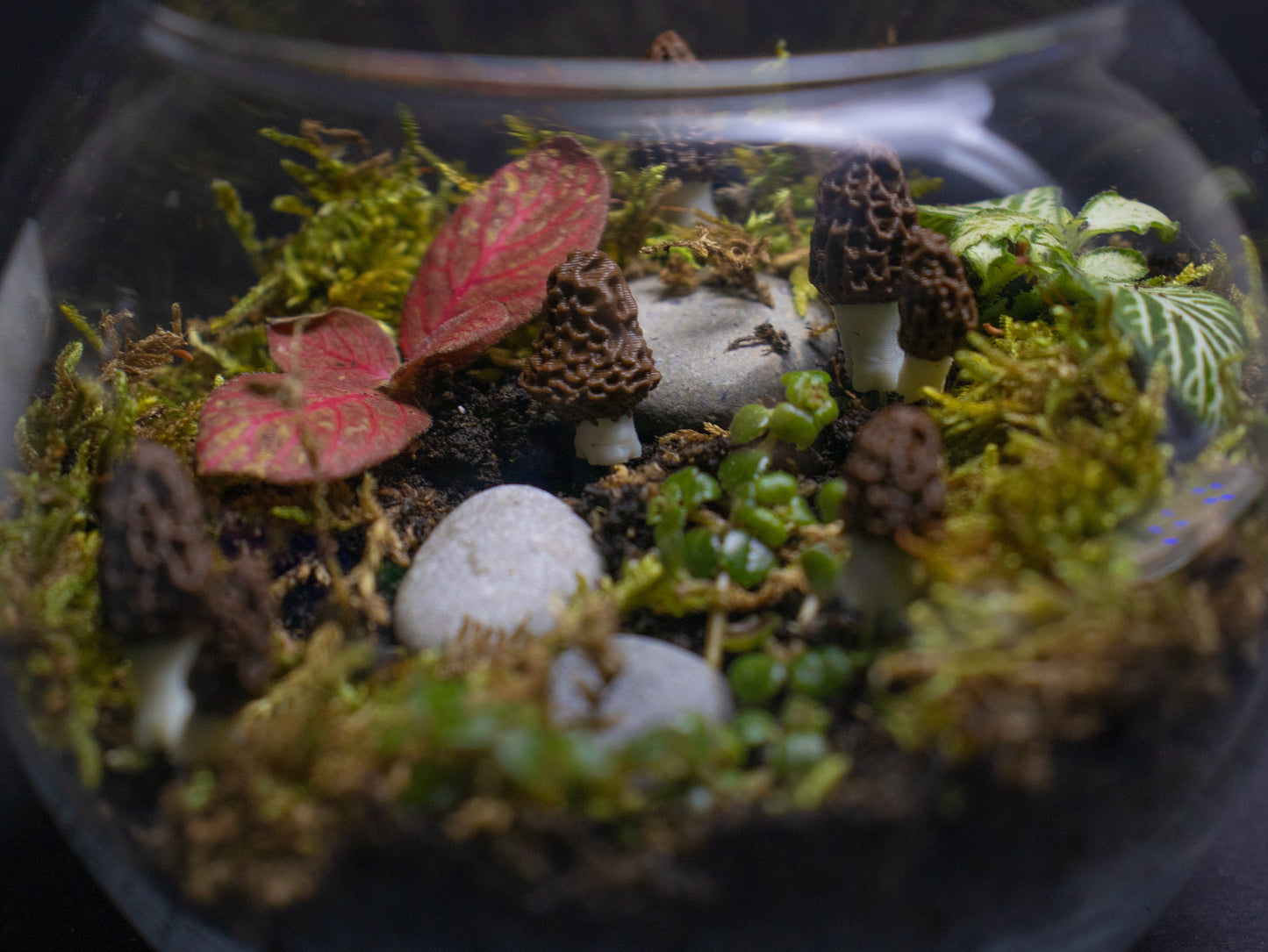 Morel Mushroom Plant Stake