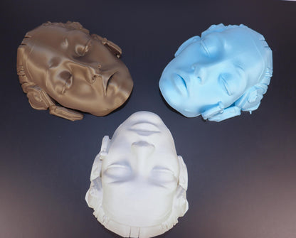 Cyborg Female Face Wall Planter