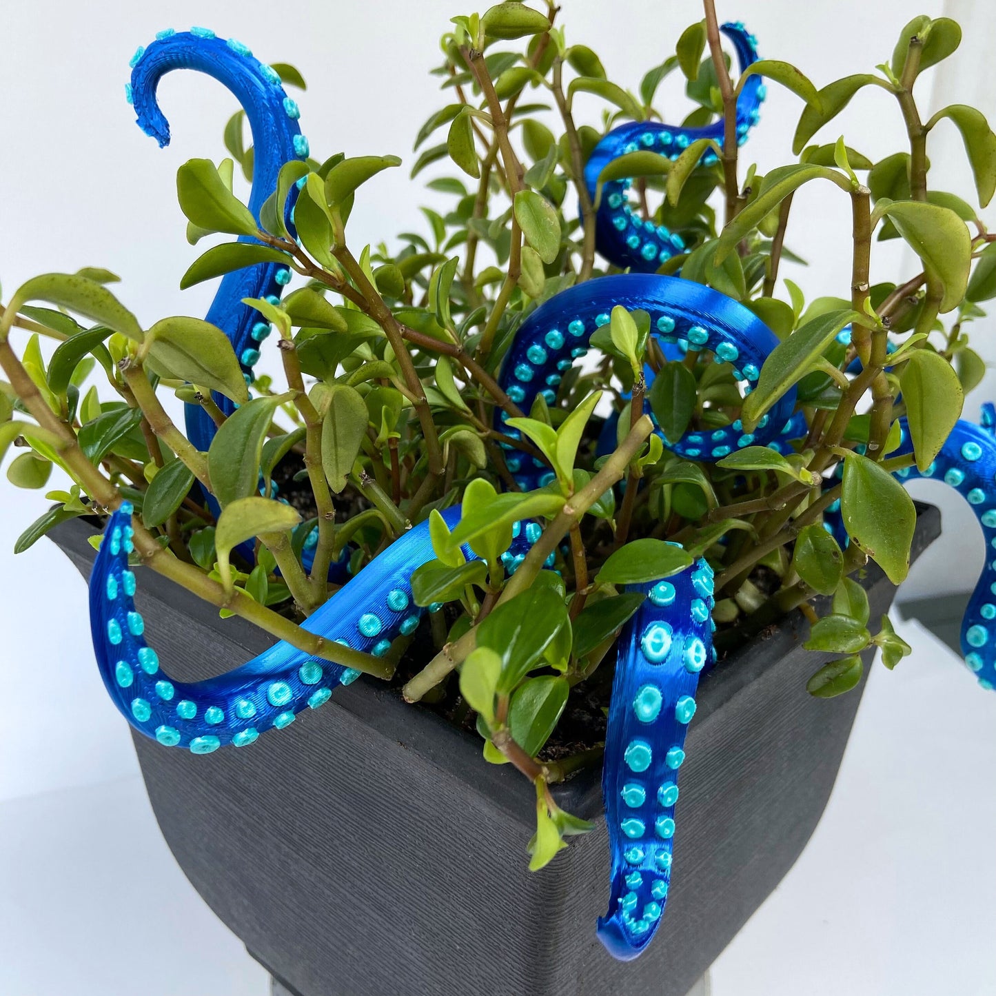 House Plant Accessories Decor - Set of 8 Sea monster Tentacles