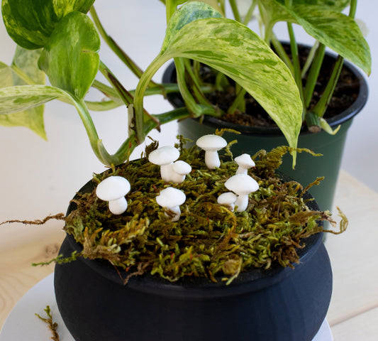 White Button Mushroom Stake Plant Accessory