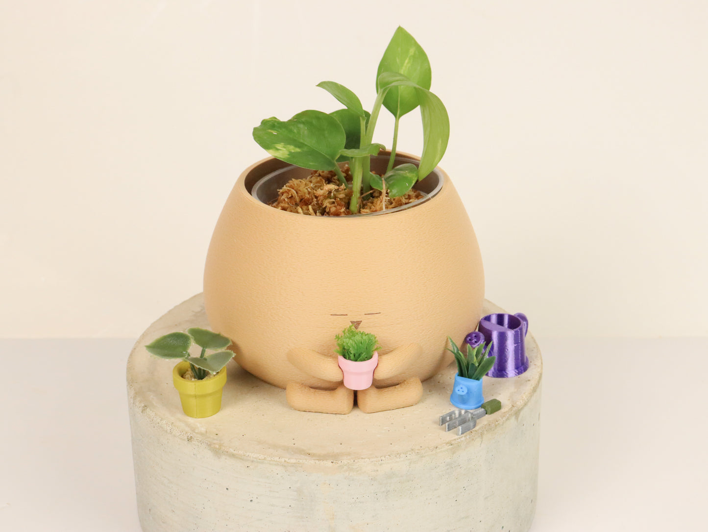 Plant Lover and Gardener Cozy Planter