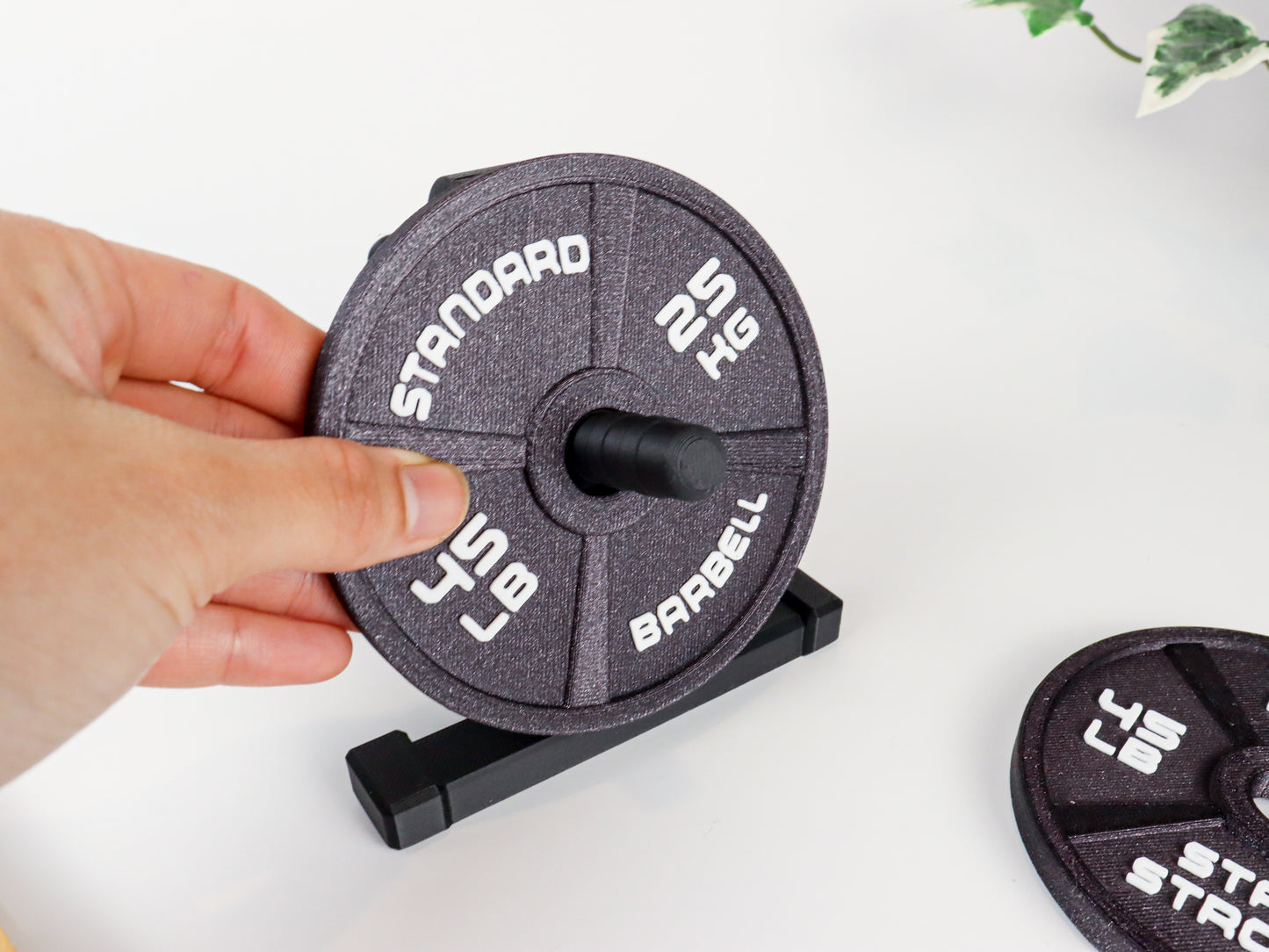 Gym Coaster Set Weight Plate with Rack