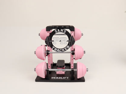 PR Tracker Weightlifting Barbell Rack Display – Gym Decor, Fitness Gift