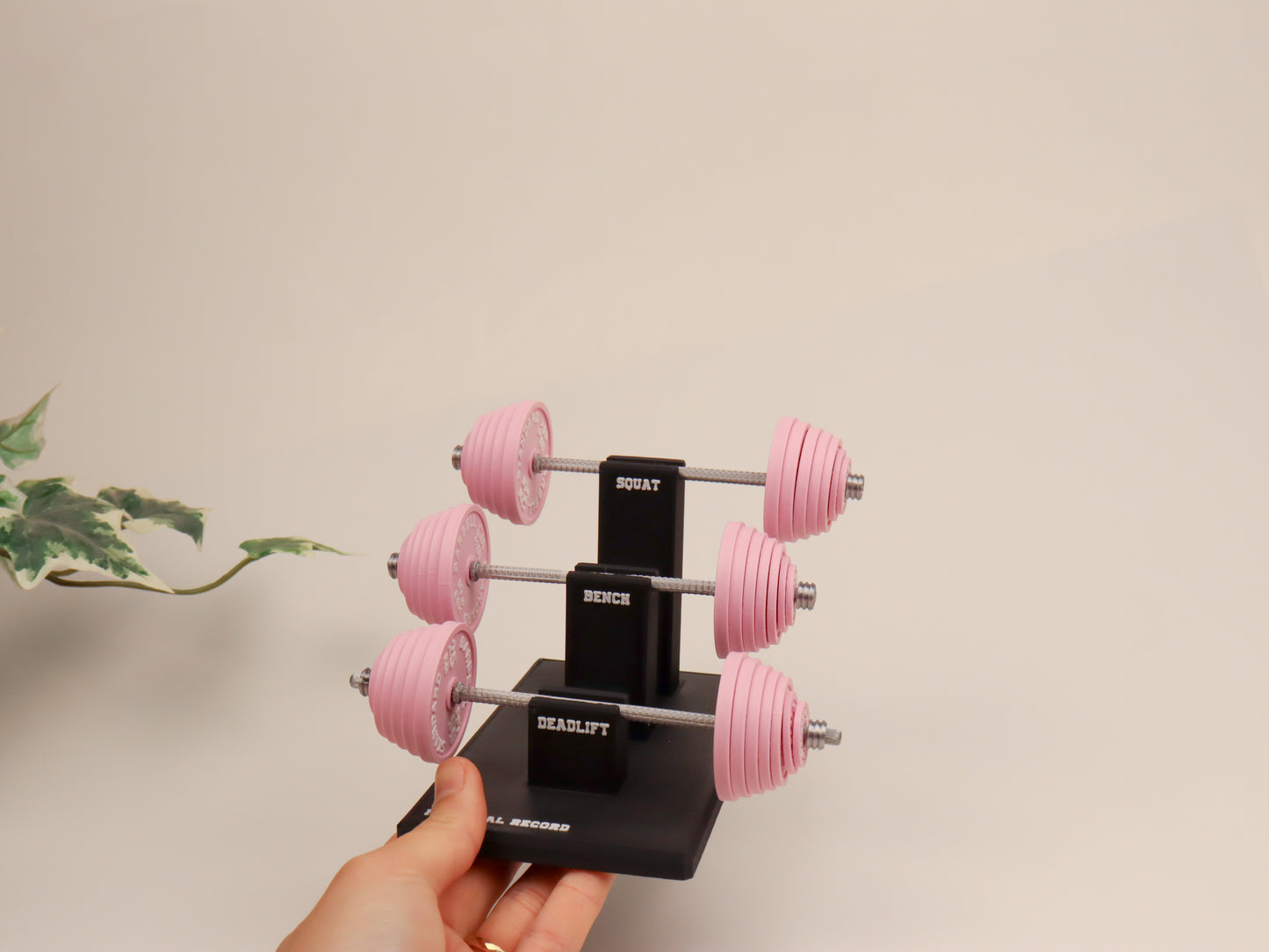Personal Record Tracker Desk Stand | Fitness Progress Organizer | Workout Log Display for Gym Enthusiasts