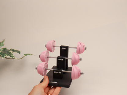Personal Record Tracker Desk Stand | Fitness Progress Organizer | Workout Log Display for Gym Enthusiasts