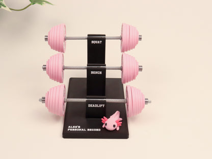 Personal Record Tracker Desk Stand | Fitness Progress Organizer | Workout Log Display for Gym Enthusiasts