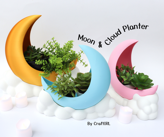Crescent Moon and Cloud Succulent Planter