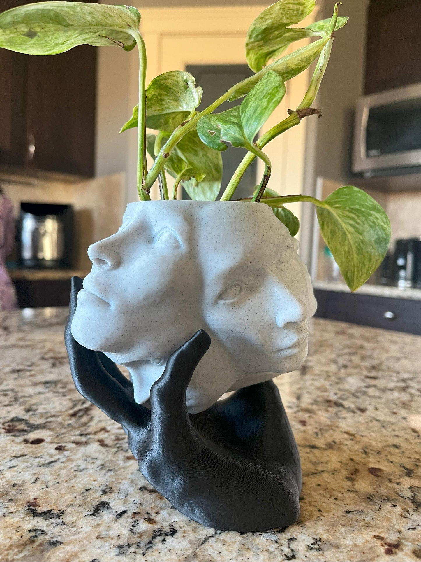 Thoughtful Multiface Planter