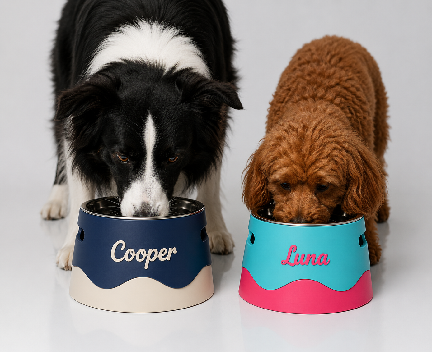 Elevated Pet Feeding Bowl